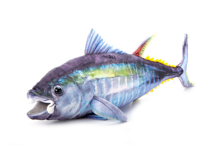 River Fish Tuna medium 26