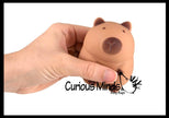 Soft Doh Capybara Animal Stress Balls Ultra Soft Kneadable Toy