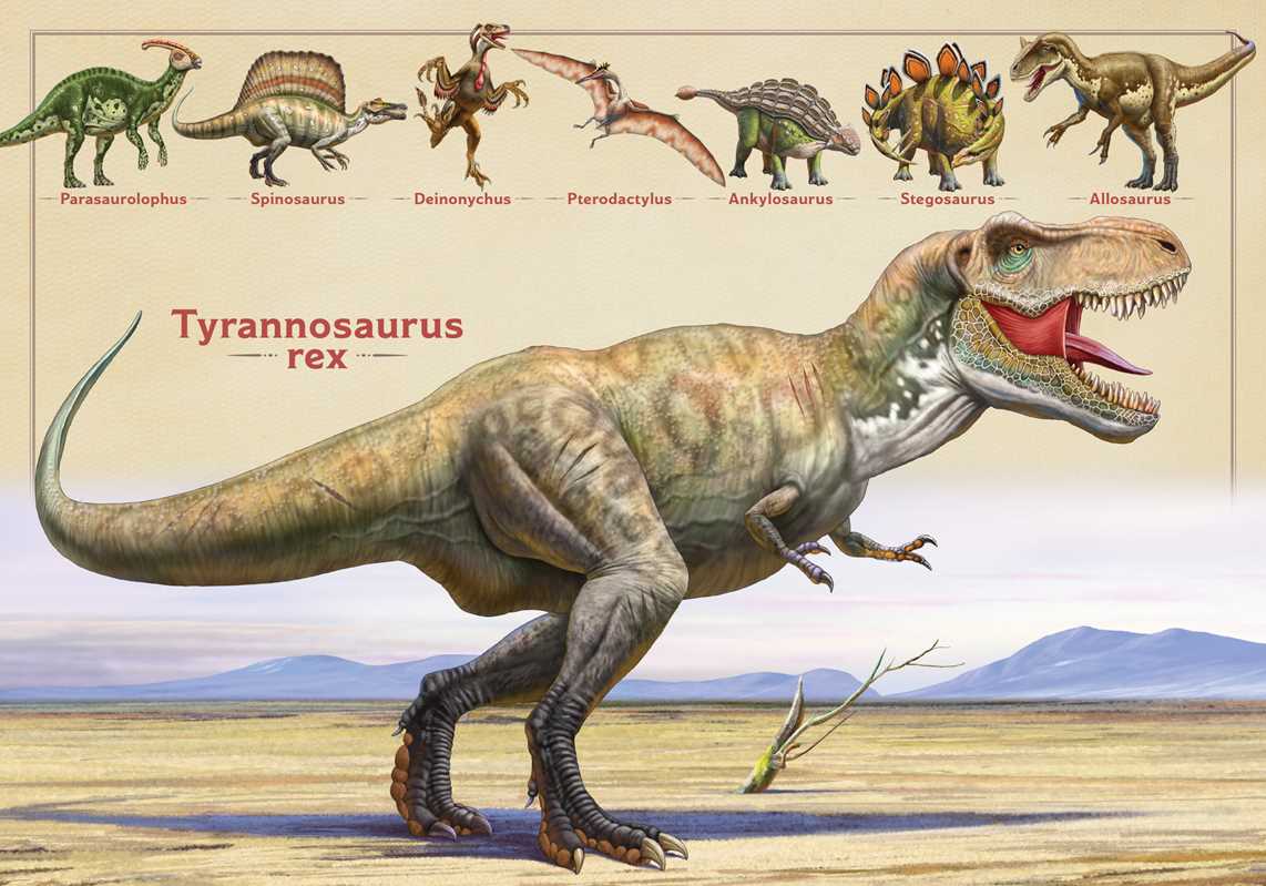 Magnificent Book of Dinosaurs Hardcover Book