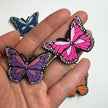 DELETE Pick your own Colorful Butterfly Design Theme Shoe Charms Best Quality JuliesDecalDesign: Large #4 rainbow