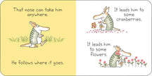 But Not the Armadillo Board Book