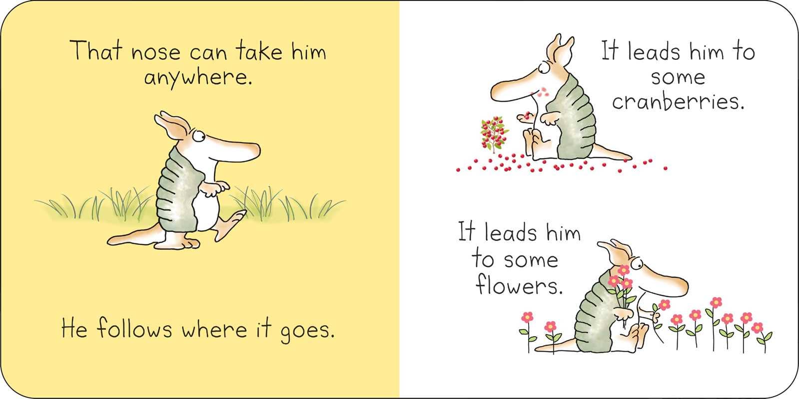 But Not the Armadillo Board Book
