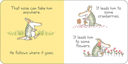 But Not the Armadillo Board Book