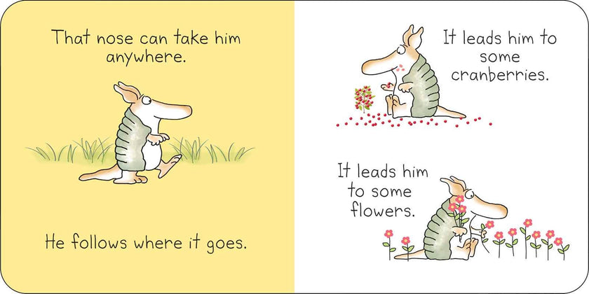 But Not the Armadillo Board Book