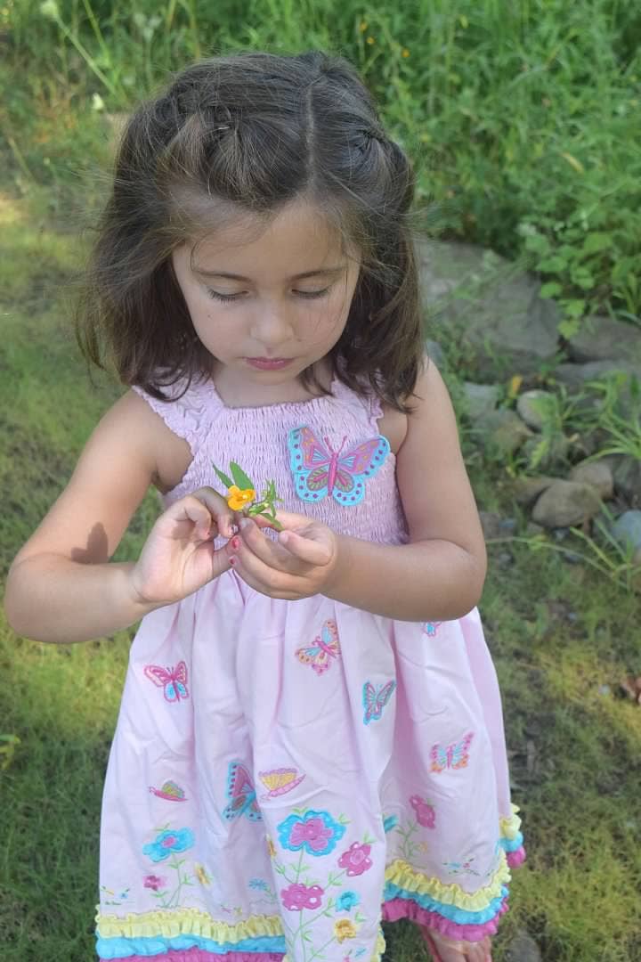 Butterfly Embroidered Appliqué Dress