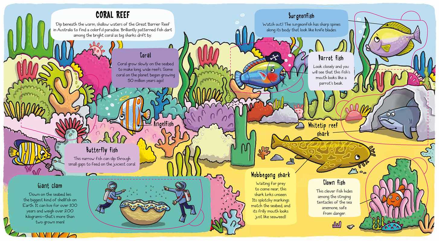 Little Explorers: Under the Sea Book