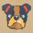Kids Hooded Patch Sweatshirt & Pant Set | Beige Bulldog