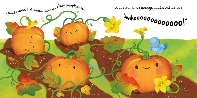Nature Stories: Little Pumpkin-Discover an Amazing Story from the Natural World Board Book