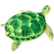 Olivia The Hawksbill Turtle | 20 Inch Stuffed Animal Plush