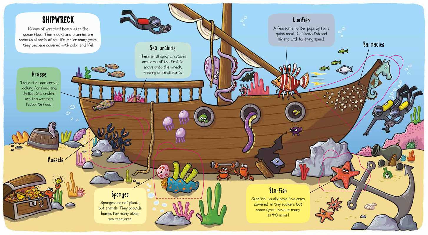 Little Explorers: Under the Sea Book