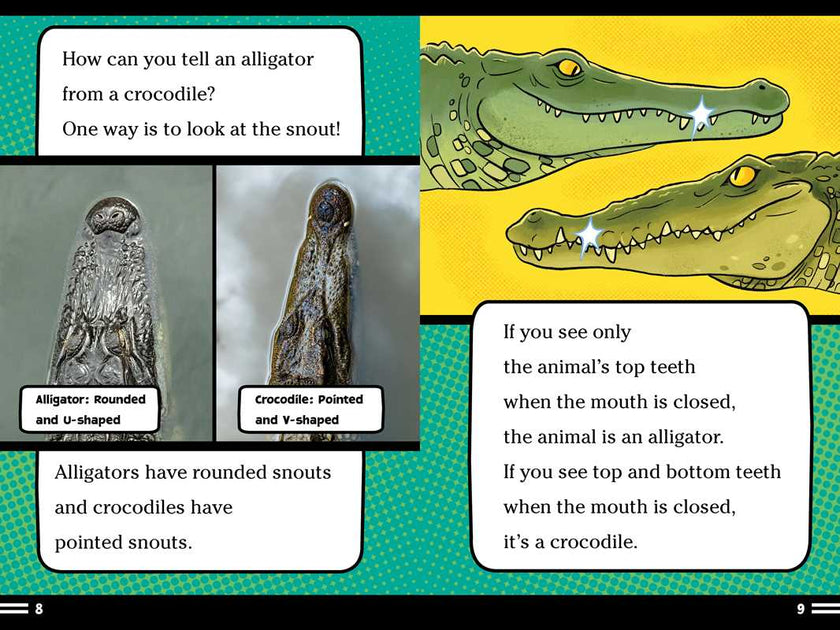 Alligators and Crocodiles Can't Chew! Book