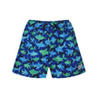 Kids UPF50+ Wesley Swim Trunks with Mesh Liner for Boys