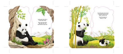Little Panda Bear (BB) Book