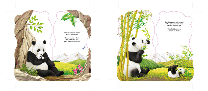 Little Panda Bear (BB) Book