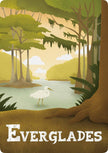 All About Florida: ABCs of the Sunshine State Flash Cards