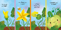 Nature Stories: Little Pumpkin-Discover an Amazing Story from the Natural World Board Book