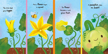 Nature Stories: Little Pumpkin-Discover an Amazing Story from the Natural World Board Book