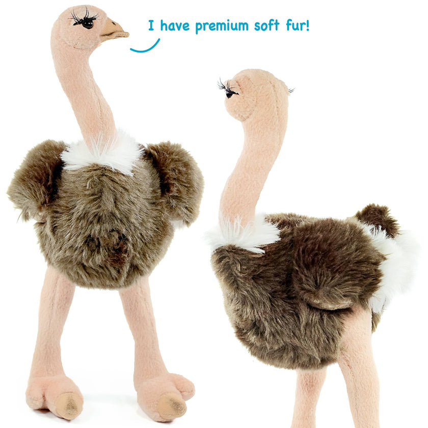 Ola The Ostrich | 12 Inch Stuffed Animal Plush