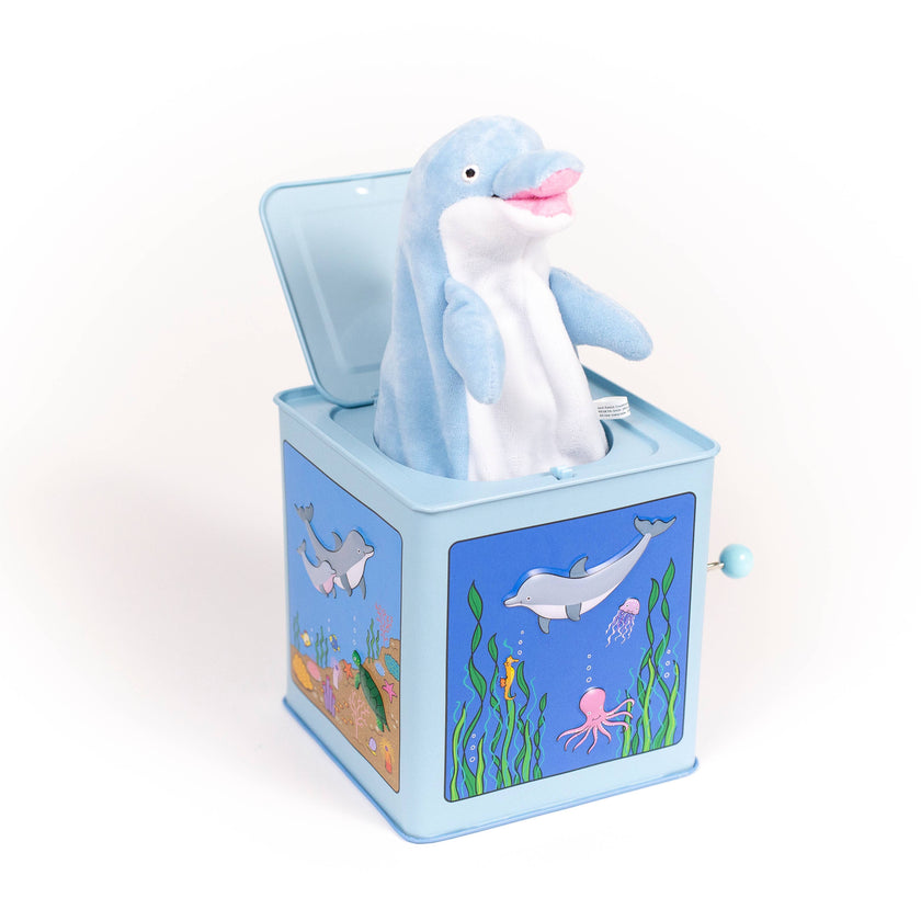 Dolphin Jack in the Box