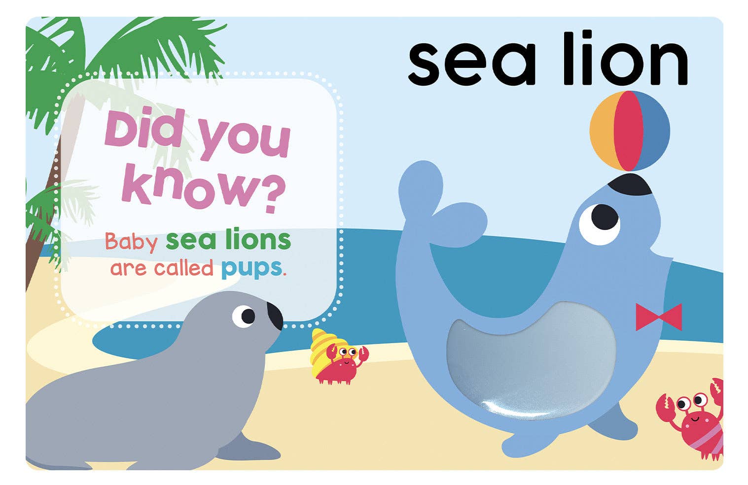 Baby's First Ocean Board Book