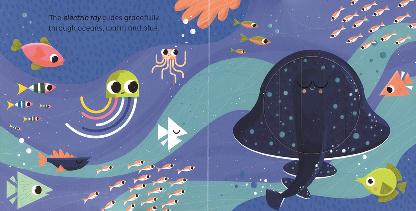 In the Ocean Board Book