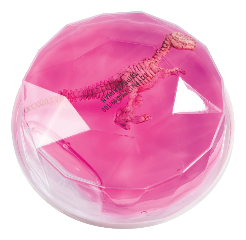 Dinosaur Fossil Putty Toy