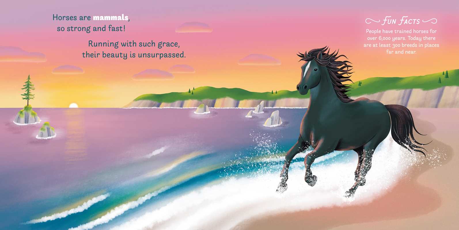 Little Genius Horses Board Book