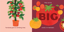 Our Food Grows Hardcover Book