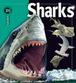 Sharks Book