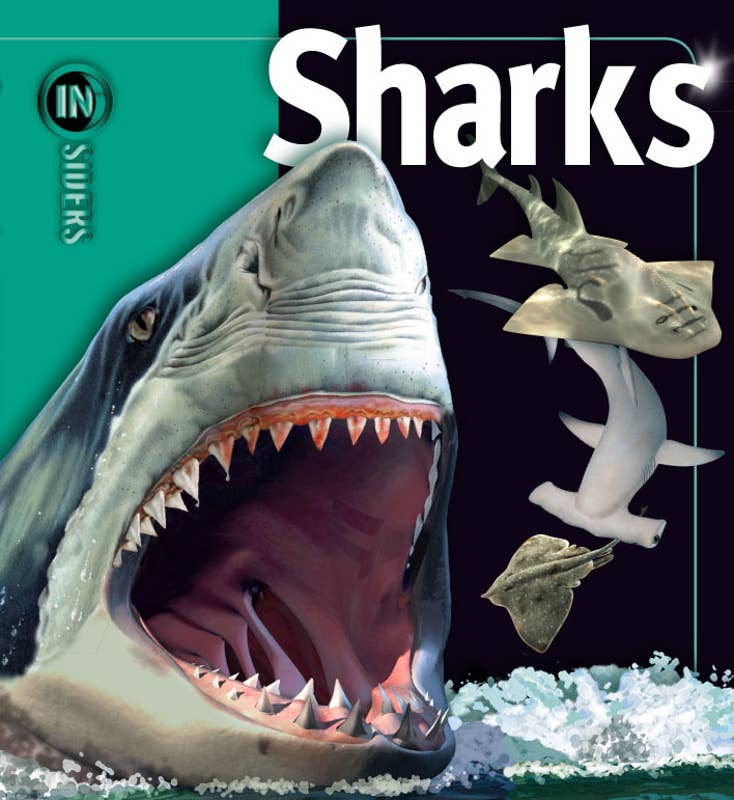 Sharks Book