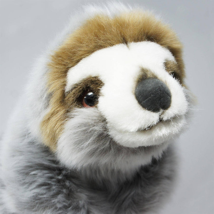 Siggy The Threetoed Sloth Baby | 9 Inch Stuffed Animal Plush