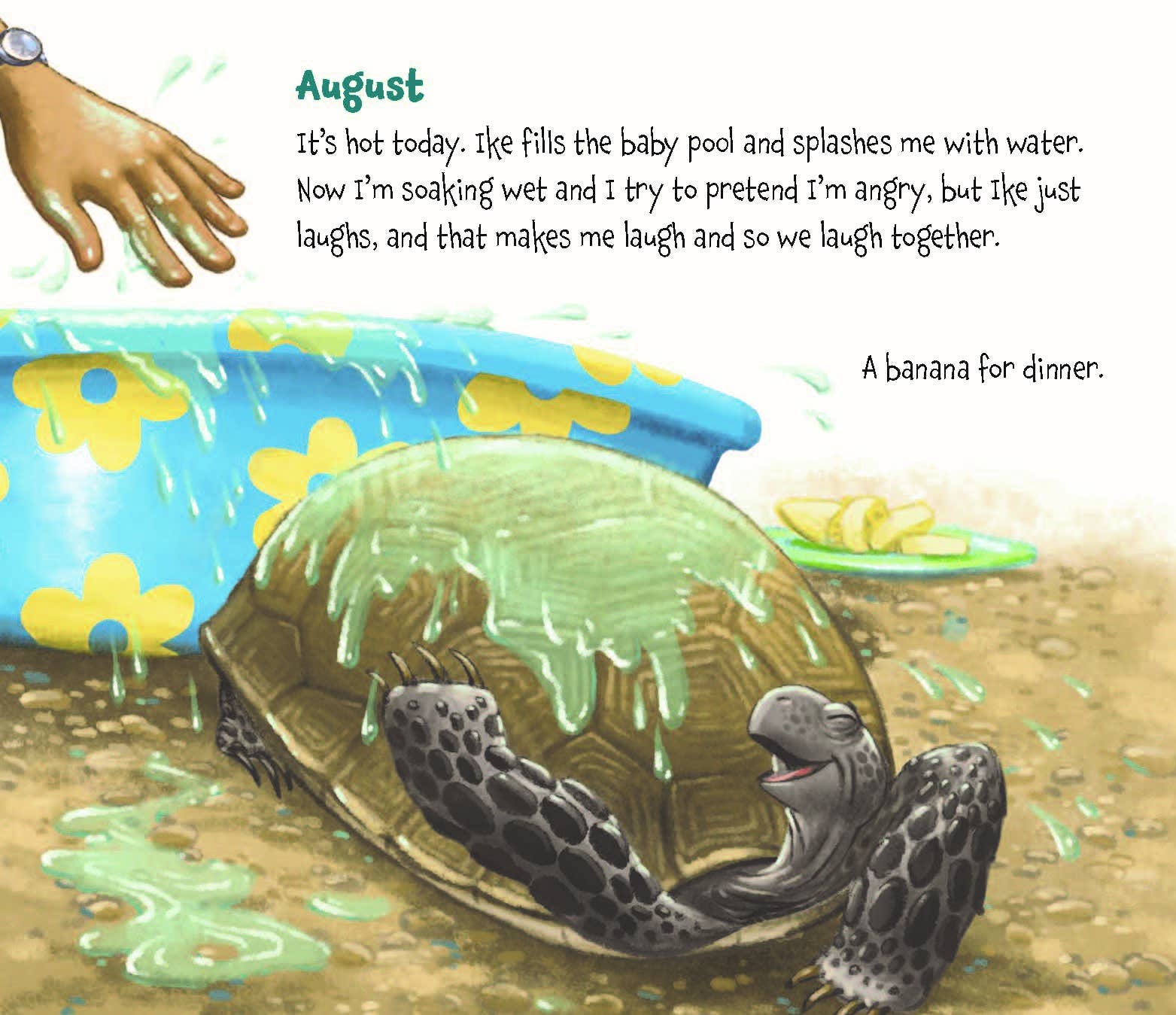 Memoirs of a Tortoise, a picture book