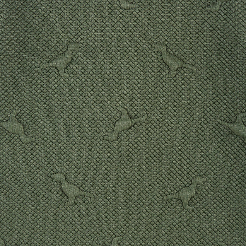 Kids Embossed Lounge Set | Green Dino