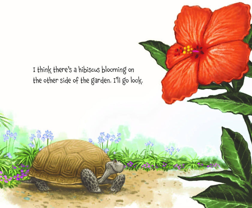 Memoirs of a Tortoise, a picture book