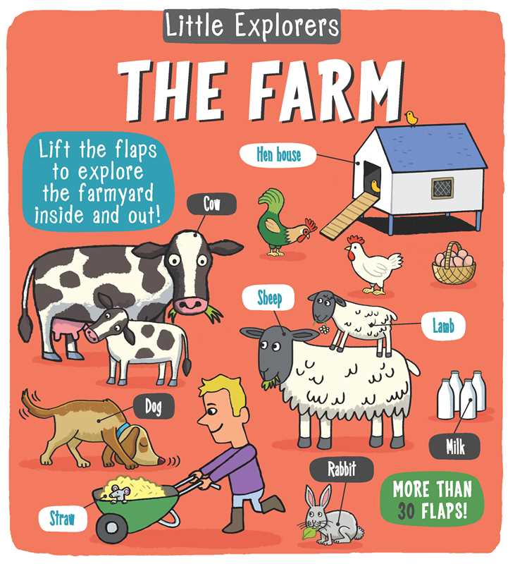 Little Explorers: The Farm Book