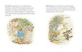 The Tale Of Peter Rabbit Book