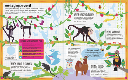 Jungle Sticker Facts Sticker Book