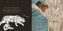 Shine-A-Light: Secrets of Animal Camouﬂage Hardcover Book