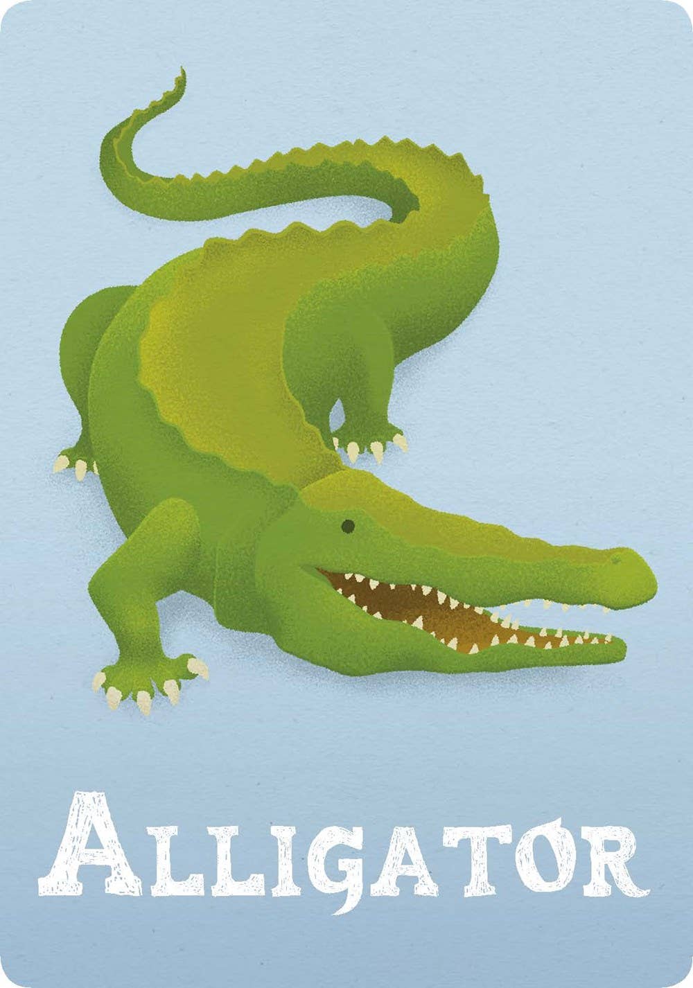All About Florida: ABCs of the Sunshine State Flash Cards