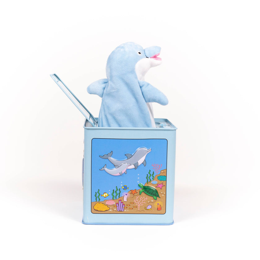Dolphin Jack in the Box