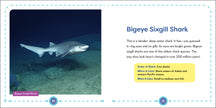 My First Book of Sharks