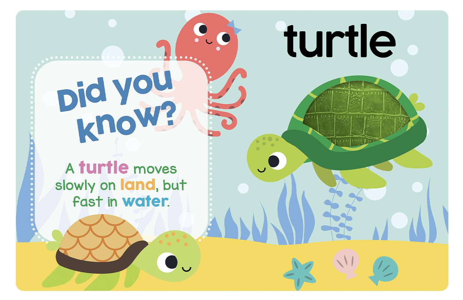 Baby's First Ocean Board Book