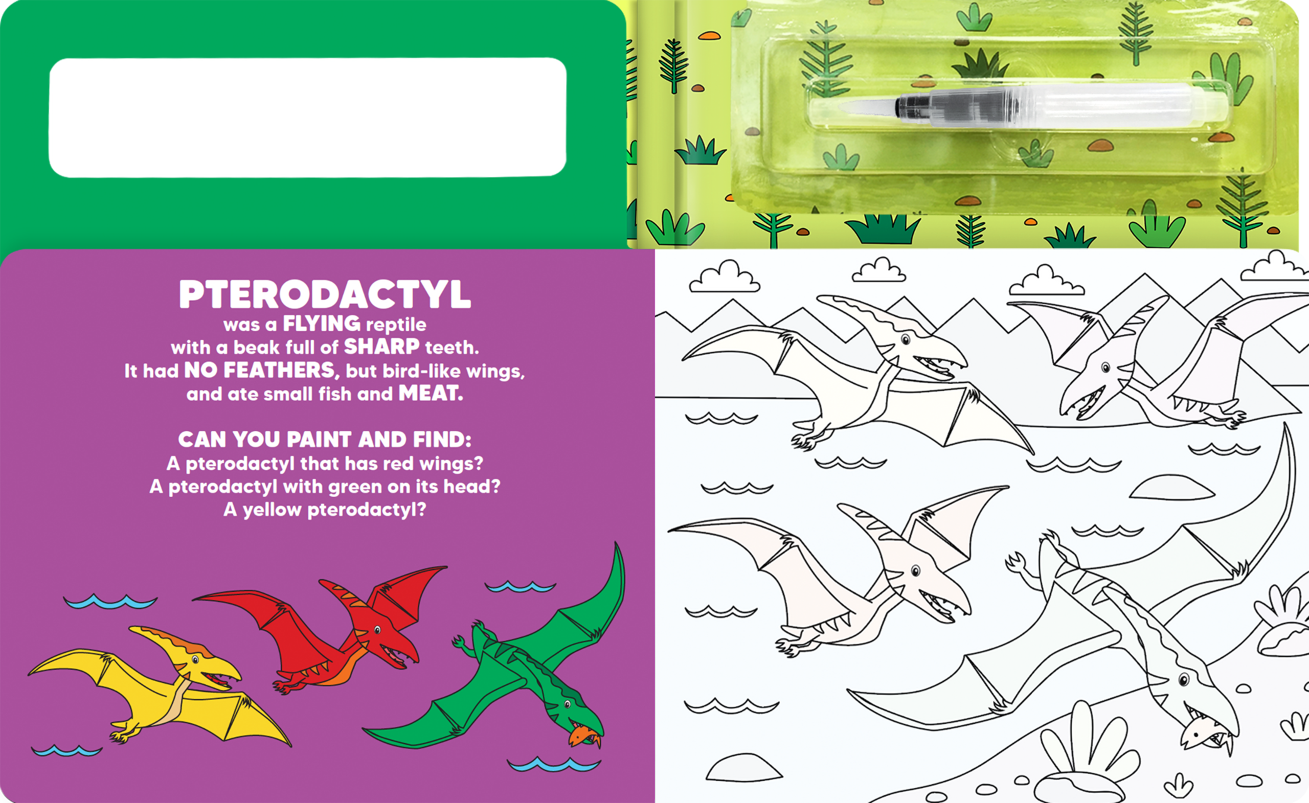 Paint and Find Dinosaurs - Children's Water Color Book