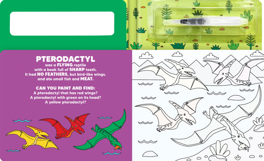 Paint and Find Dinosaurs - Children's Water Color Book