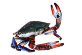 Living Crab Plush Stuffed Animal 9