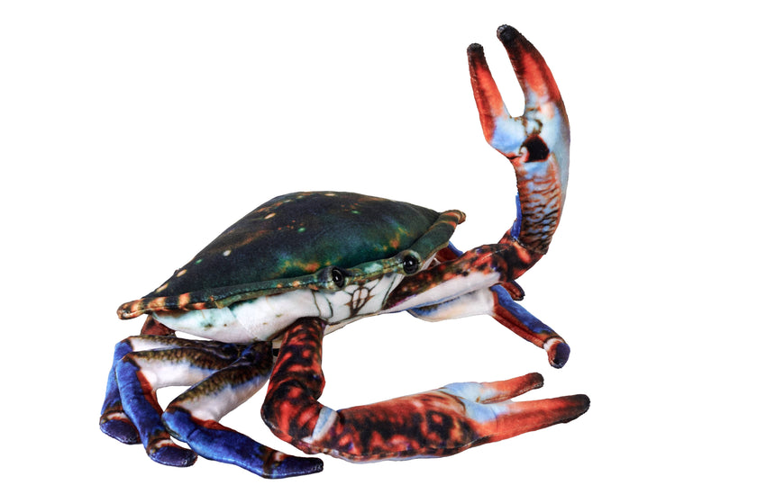 Living Crab Plush Stuffed Animal 9