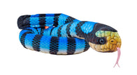 Sea Snake Yellow Lipped Stuffed Animal 54