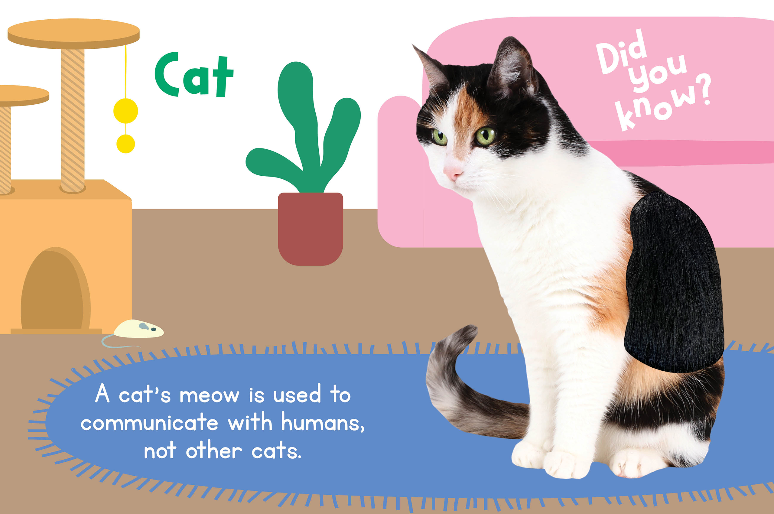 Pets Book