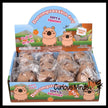 Soft Doh Capybara Animal Stress Balls Ultra Soft Kneadable Toy