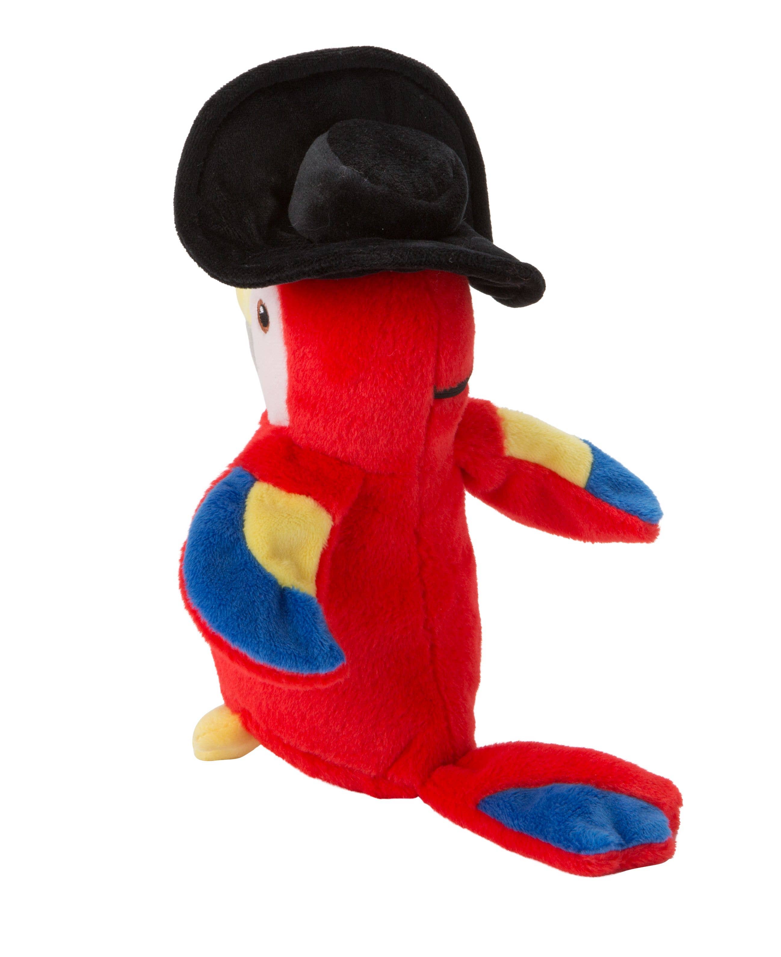 Captain Jack the Parrot Tooth Fairy